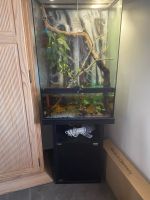 Neuer Preis Exo Terra Paludarium Aquarium Terrarium komplett Sachsen-Anhalt - Salzatal Vorschau