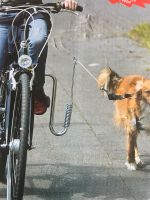 Doggy Guide Führhalter für Fahrräder NP 54,95 jetzt nur 25€ Sachsen-Anhalt - Gräfenhainichen Vorschau