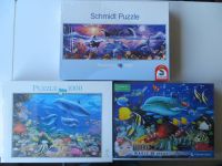 3 Puzzle Schmidt Orca Wale Clementoni 3 D Delfin 1000 Teile NEU Schleswig-Holstein - Bargteheide Vorschau