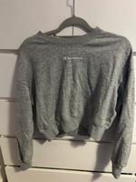 Champion Pulli Berlin - Pankow Vorschau