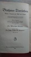 Brehms Tierleben von 1923 Westerwaldkreis - Stahlhofen am Wiesensee Vorschau