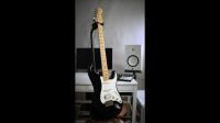 Fender Stratocaster USA HSS 2011 inkl. Hardshell Case Nordrhein-Westfalen - Gelsenkirchen Vorschau