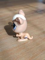 Littlest Pet Shop LPS Spielfigur Spielzeug Känguru Baden-Württemberg - Hockenheim Vorschau