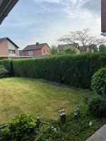 Hecke/Garten zu verschenken Nordrhein-Westfalen - Bergheim Vorschau