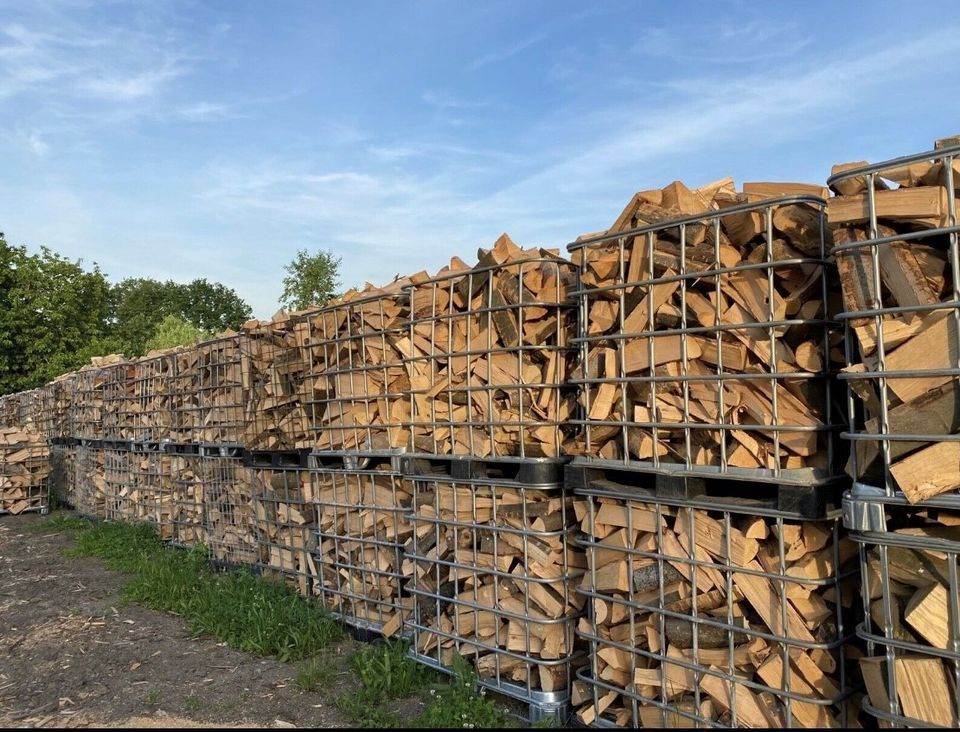 Brennholz / Kaminholz abgelagert oder frisch in Wadgassen