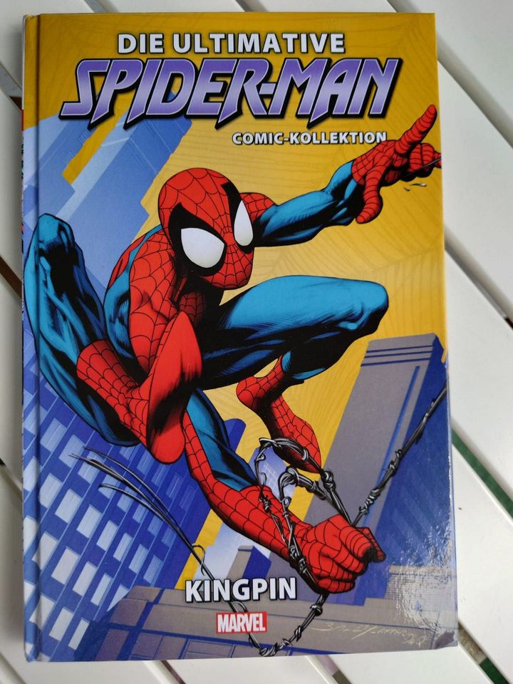 Spiderman - Comic-Kollektion - Hardcover - Marvel in München