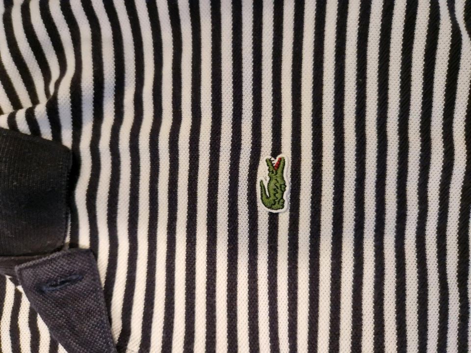 Lacoste Poloshirt in Satow