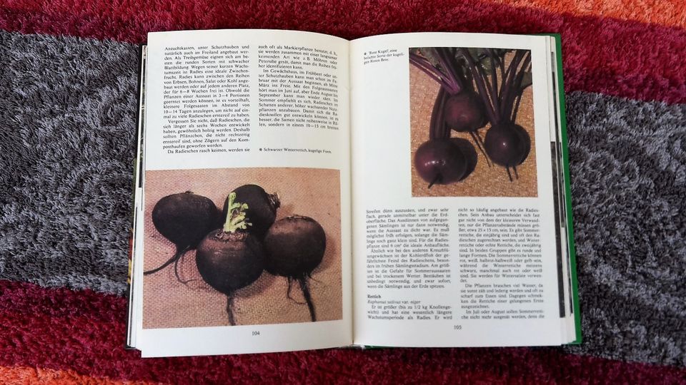Gemüse im Garten / Garten Grammatik vom ARTIA Verlag Prag 1984 in Jena