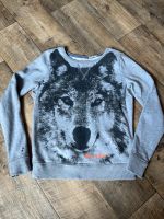 Tommy Hilfiger Pullover Wolf H&M Jeans 152/158 XS Niedersachsen - Clausthal-Zellerfeld Vorschau