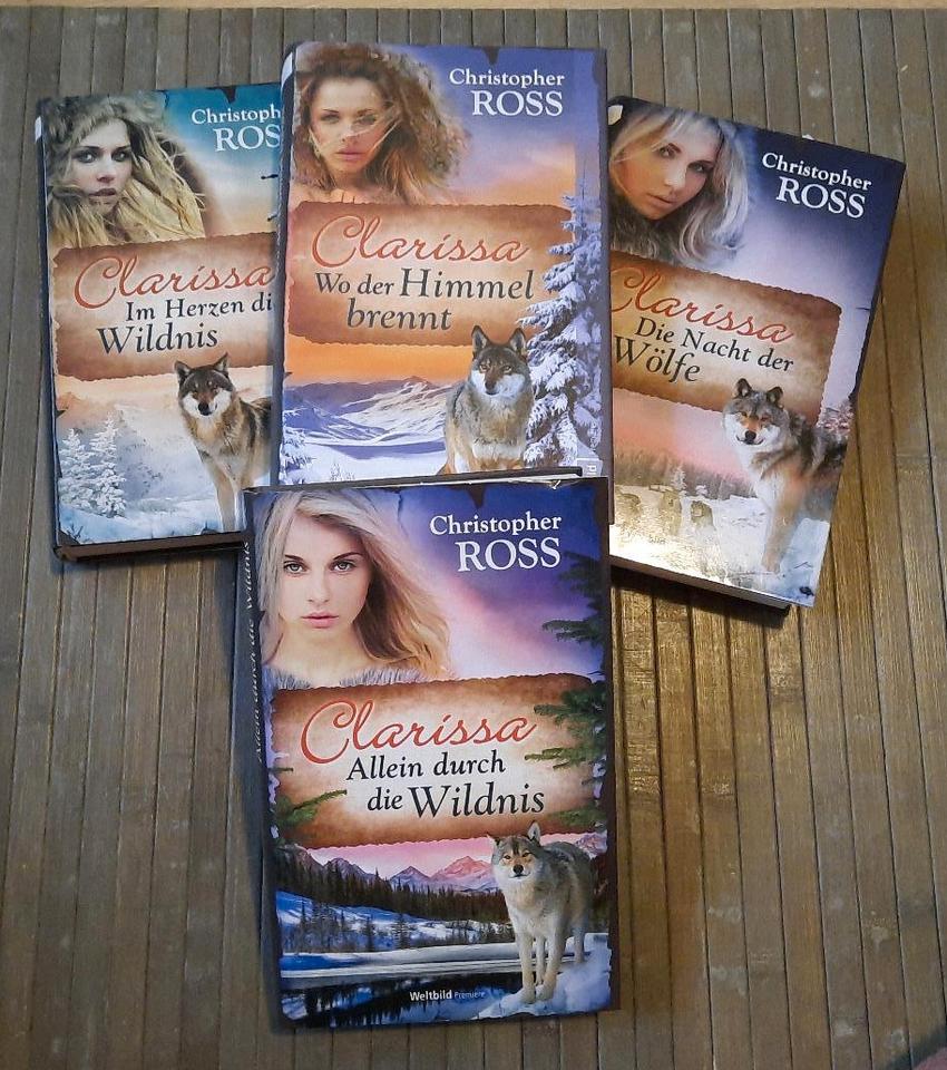 4x Clarissa Buch Alaska Saga sehr spannend mit Liebe & Poesie in Aurich