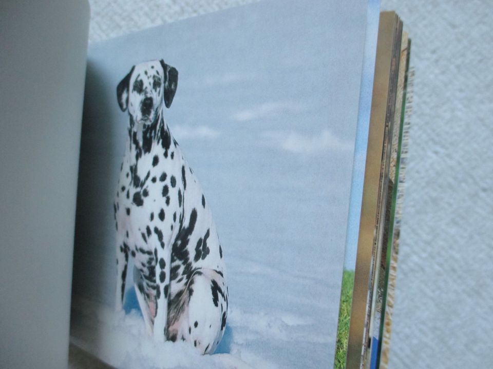 Postkartenbuch: Hunde; in Olching