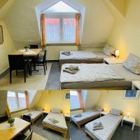 Zimmer Unterkunft Hostel zur Miete in Erfurt (T04Z307) Thüringen - Erfurt Vorschau