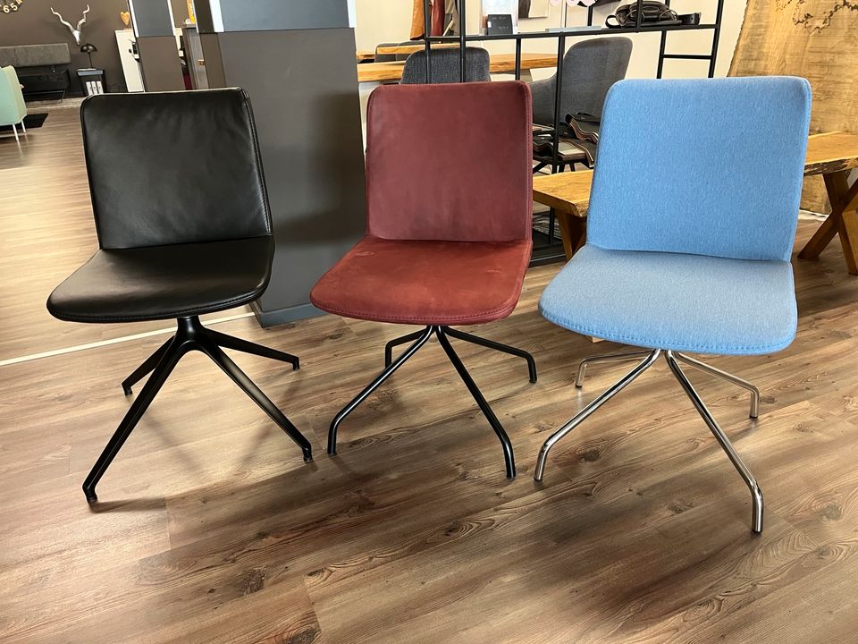 Stühle | Lederstühle | Esszimmer Büro | Einzelstücke - 50% Rabatt in Bünde