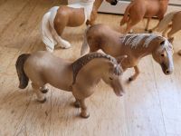 Schleich Pferde 28x mit Zubehör Stuttgart - Stuttgart-Nord Vorschau