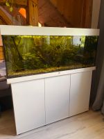 240 Liter Aquarium Niedersachsen - Tiddische Vorschau