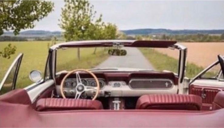 Mustang als Hochzeitsauto mieten - weißes, schickes Cabrio mit V8 in Pirna