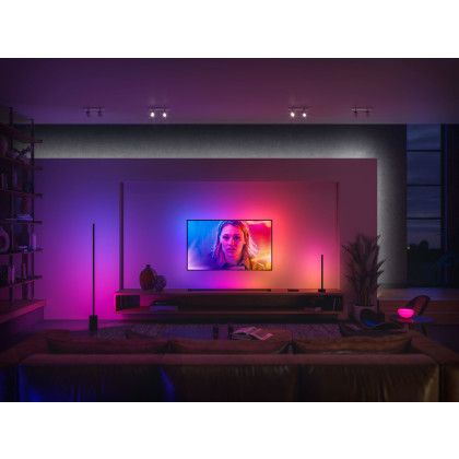 Philips Hue White & Color Ambiance Play Gradient Light Tube in Emden