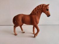 Schleich Quarter Horse Stute Kiel - Russee-Hammer Vorschau