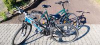 Fahrrad, Pegasus , Releigh Damenfahrrad zwei Fahrräder Saarland - Losheim am See Vorschau