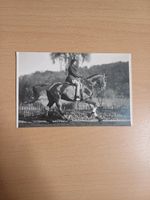 Postkarte/Ansichtskarte Pferd,reiten Schleswig-Holstein - Bad Bramstedt Vorschau