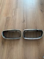 Originale BMW 3er E90/ 91 LCI Nieren Frontgrill Grill Sachsen-Anhalt - Holzweißig Vorschau