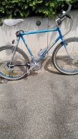 Colnago Master MTB 1986 Unicat, RH 54cm, sehr schön silber/blau Hessen - Wiesbaden Vorschau