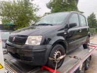 Schlachtfest Fiat Panda 169 1,1 187A1.000 schwarz Nordrhein-Westfalen - Kerpen Vorschau