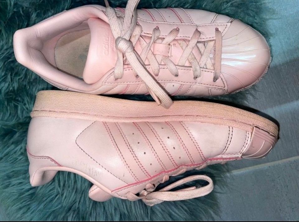 Adidas Superstars Schuhe Rosa Größe 36 in Dettingen unter Teck