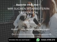 Mitarbeiter/in für Tierpension gesucht (m/w/d) Berlin - Neukölln Vorschau