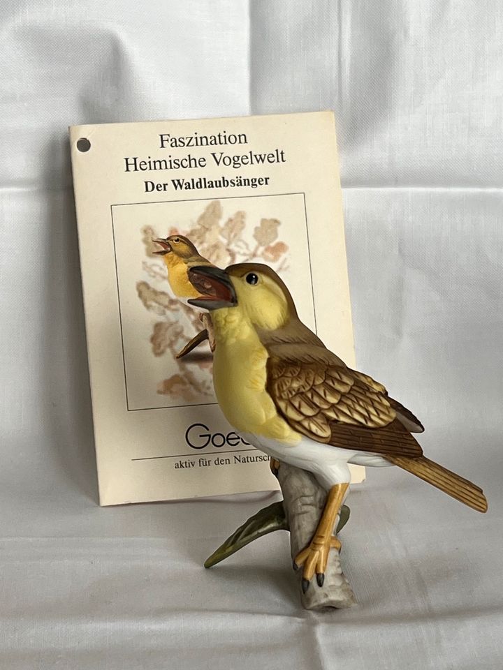 Porzellan-Vogel von Goebel - Waldlaubsänger in Köln