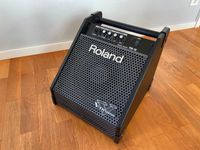 Roland V-Drums Monitor PM-10 Baden-Württemberg - Eberdingen Vorschau