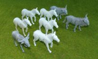 PLAYMOBIL COLOR: 5 Zebras und drei Gnus 3677, Safari, Zoo Nordrhein-Westfalen - Kamp-Lintfort Vorschau