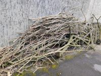 Brennholz Holz Feuerholz Nordrhein-Westfalen - Gelsenkirchen Vorschau