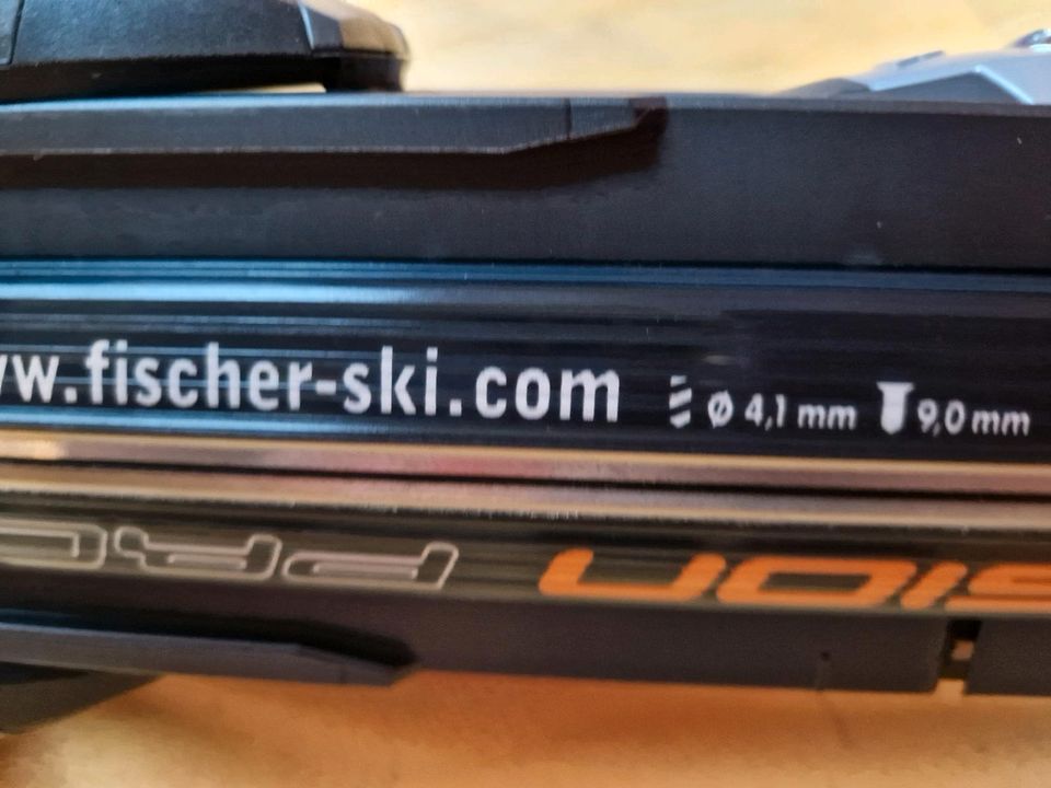 Fischer Herrn Ski in Freystadt