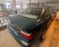 BMW E36 316i Nauticgrün Nordrhein-Westfalen - Paderborn Vorschau