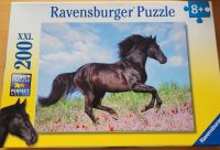 Ravensburger Puzzle mit schwarzem Pferd Nordrhein-Westfalen - Harsewinkel - Greffen Vorschau