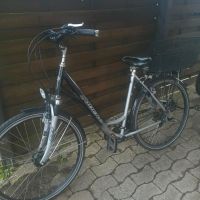 Gudereit Fahrrad 28 zoll Niedersachsen - Esens Vorschau