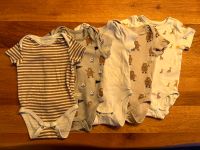 5 Baby Bodies Gr. 74, H&M / C&A Rheinland-Pfalz - Hahnstätten Vorschau