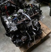 MOTOR FORD TRANSIT MK8 2.0 TDCI RWD, ca. 10 TKM + GARANTIE Rheinland-Pfalz - Hermeskeil Vorschau