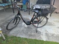 E-Bike Unisex "Victoria" Trekkin/Cityrad Brandenburg - Michendorf Vorschau