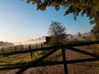 Pferdebox/Box frei in Bliedersdorf ♡ Niedersachsen - Bliedersdorf Vorschau