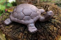 Gartenfigur Schildkröte Gusseisen Nordrhein-Westfalen - Wegberg Vorschau
