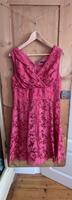 Kleid Spitze Floral Altrosa Zero, Größe 40 Hessen - Seeheim-Jugenheim Vorschau
