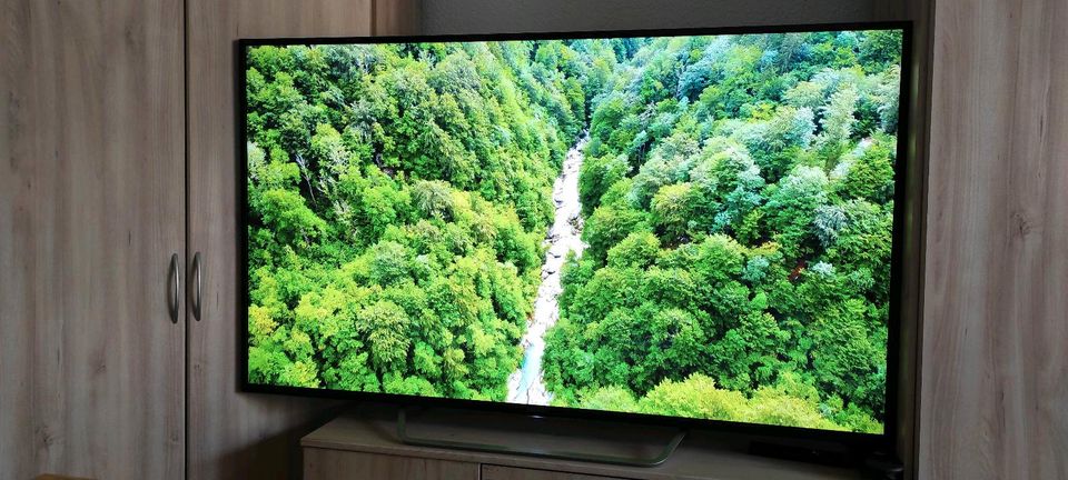 Sony KD 65 Zoll TV Fernseher WLAN Tuner Netflix YouTube in Potsdam