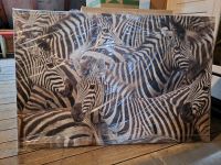 Leinwand Zebras 80x120 cm Sachsen-Anhalt - Wanzleben Vorschau