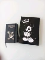 Disney: 2 Notizbücher, ausgefallen,  neu Niedersachsen - Ilsede Vorschau