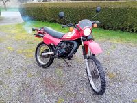 Honda MTX 50 AD04 Rheinland-Pfalz - Nusbaum Vorschau