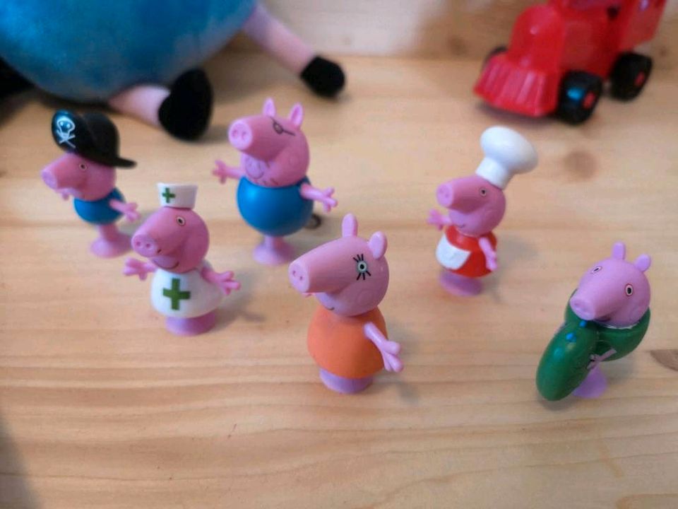 Peppa Wutz Pig Konvolut in Munster