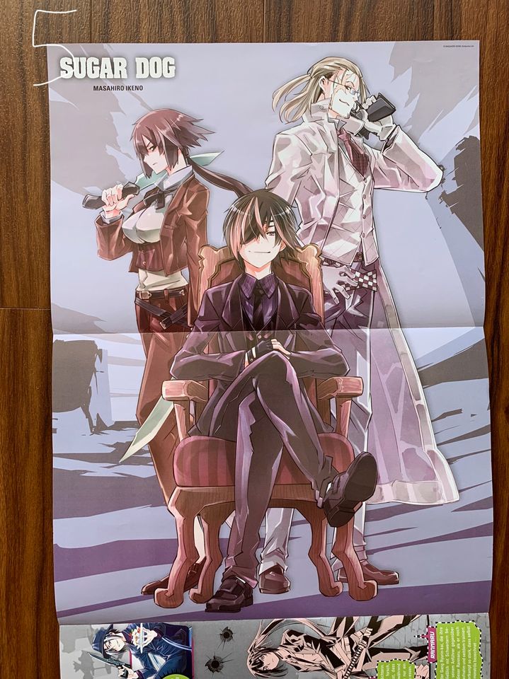 Manga Anime Poster Merchandise Kauf/Tausch in Gera