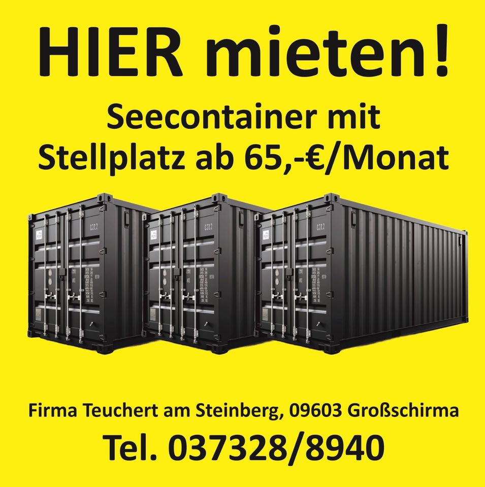 Holzhäcksler Först ST 6P (Mietangebot) in Großschirma